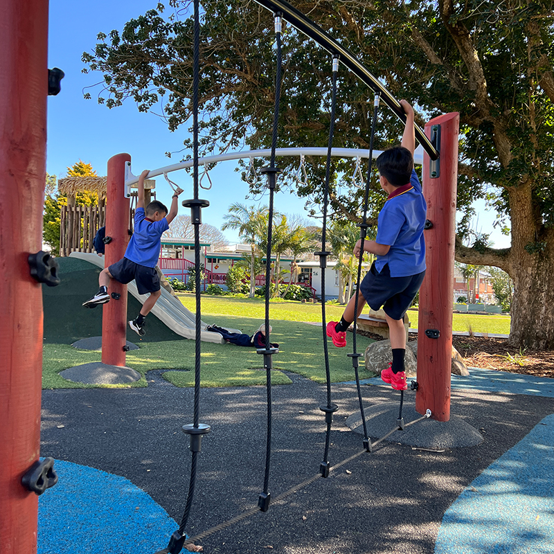 Mangere Bridge School