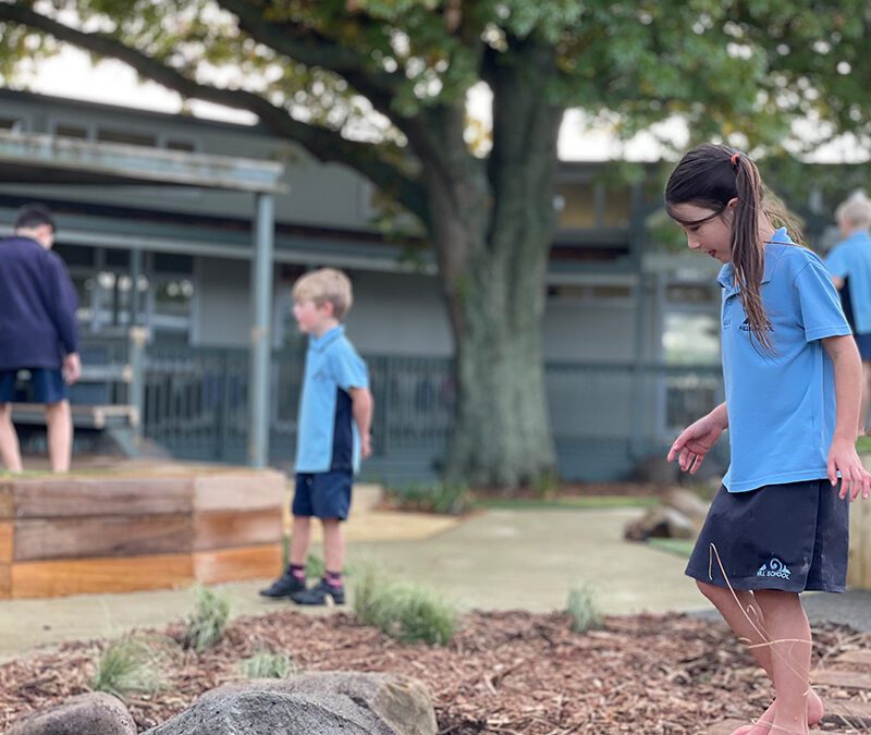 Outdoor Learning Environments: Education Beyond the Classroom