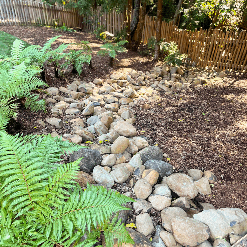 Ponga plants and riverstones