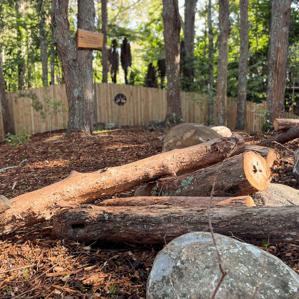 Rocks and logs in the forest