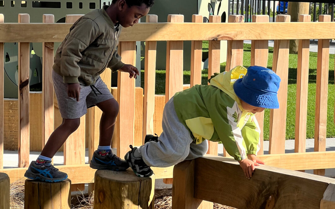 Essential Questions to Ask Your Playground Builder